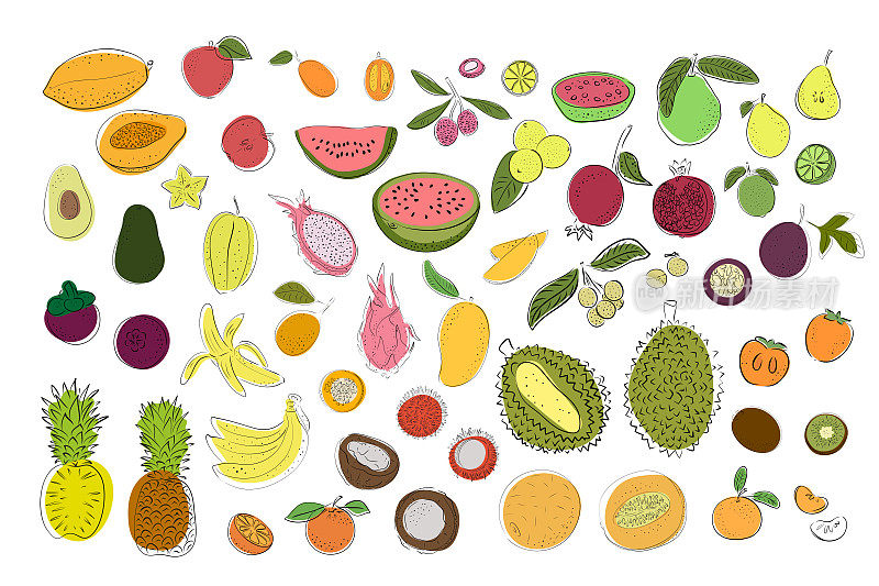 Set of tropical fruits. Bright and colorful pear, apple, lemon, lime, watermelon, orange, durian, pithaya, pineapple, mango, mangosteen, rambutan, bananas, persimmon, avocado, papaya, guava